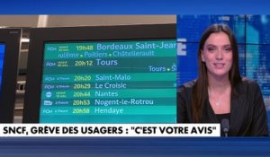 SNCF : Faut-il ne plus payer ses billets ?