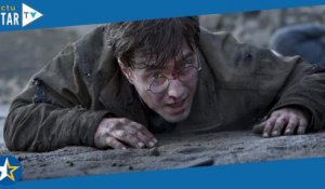 Harry Potter et les reliques de la mort, partie 2 (TMC) : cet acteur arrêté pour possession de drogu