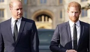 Le prince William se sent "consterné et trahi" par son frère, le prince Harry, à cause d'un lien rom