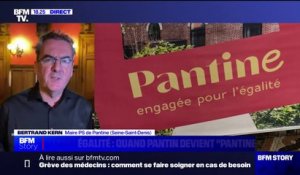 En Seine-Saint-Denis, la ville de Pantin devient "Pantine" pour interpeller sur l'égalité femmes-hommes