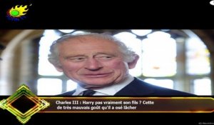 Charles III : Harry pas vraiment son fils ? Cette  de très mauvais goût qu'il a osé lâcher