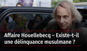 Affaire Houellebecq – Existe-t-il une délinquance musulmane ?