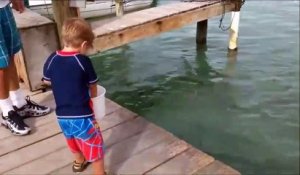 Cet enfant voulait nourrir des poissons mais attendez la fin
