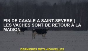 Fin de la course à Saint-SévèreLes vaches sont de retour à la maison