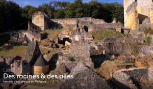 Teasing de l'émission "Des racines et des ailes" consacrée à la Dordogne ce mercredi 11 janvier