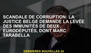 Scandale de la corruption: la justice belge demande la levée des immunités de deux députés, dont Mar