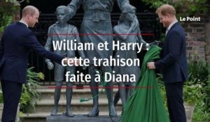 William et Harry : cette trahison faite à Diana