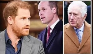 Le mur de silence de la famille royale rend Harry "ridicule" alors qu'il "détruit sa réputation"