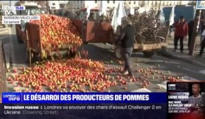 Le désarroi des producteurs de pommes face aux faibles prix d'achat