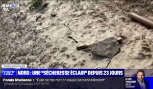 La moitié nord de la France touchée par une "sécheresse éclair"