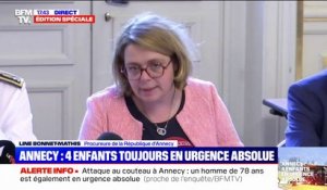 Attaque au couteau à Annecy: l'agresseur est "un sans domicile fixe" arrivé à Annecy "pendant l'automne 2022"