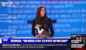 Chat écrasé par un TGV: pour la Fondation Brigitte Bardot, "c'est étonnant que la SNCF ne s'inscrive pas dans le renforcement de la protection animale"