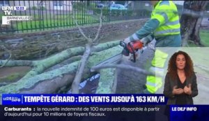 75.000 foyers privés d'électricité, circulation des TGV perturbée...les dégâts de la tempête Gérard