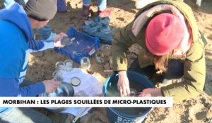 Pollution : les plages du nord-ouest de la France souillées par des microbilles de plastique