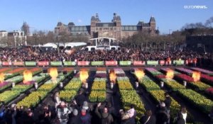 La saison des tulipes est ouverte : 200 000 fleurs sur la place du Musée d'Amsterdam
