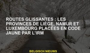 Routes coulissantes: les provinces de Liège, Namur et Luxembourg placées dans le code jaune par IRM