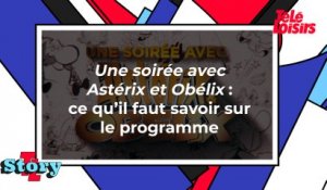 Une soirée avec Astérix et Obélix (TMC) : ce qu'il faut savoir sur le programme