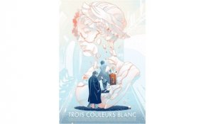 Trois Couleurs Blanc (1994) en français HD (FRENCH) Streaming