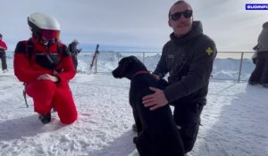 Salto, un chien d’avalanche chargé de retrouver des personnes ensevelies sous la neige