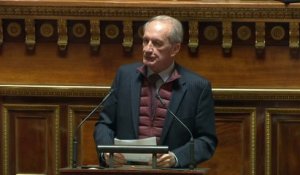 Nucléaire : "Le Sénat a eu raison de vouloir ouvrir ce débat", se félicite Gérard Longuet (LR)