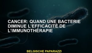 Cancer: lorsqu'une bactérie diminue l'efficacité de l'immunothérapie