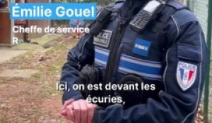 Des policiers sur leurs chevaux à Lyon : c'est quoi cette brigade atypique ?