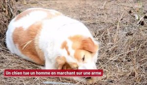 Un chien tue un homme en marchant sur une arme !