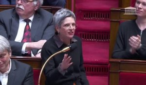 Sandrine Rousseau pose une question au gouvernement, Olivier Dussopt l'accuse de "faire écho aux fake news"