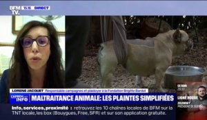 Lorène Jacquet (fondation Brigitte Bardot): "C'est une vraie prise en compte de la souffrance animale par le ministère de l'Intérieur"