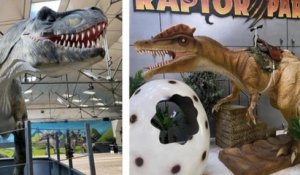 Normandie : une vente aux enchères organisée pour acheter... des statues géantes de dinosaures