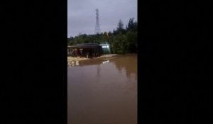 Inondations en Nouvelle-Zélande: un bus parvient à avancer sur une route complètement submergée
