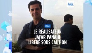 Le cinéaste iranien Jafar Panahi libéré sous caution après sept mois de prison