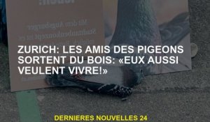 Zurich: Les amis des pigeons sortent du bois: "Ils veulent aussi vivre!"