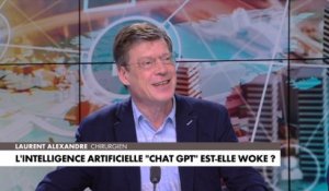 Laurent Alexandre :  «Il va falloir que l’Europe et la France se mettent à investir dans l’intelligence artificielle pour compenser nos 20 ans de retard»