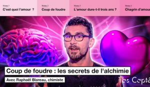 Les secrets du coup de foudre expliqués par un chimiste - T'as Capté - CANAL+