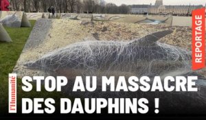 Dauphins échoués. La LPO expose les photos des 400 cétacés morts, aux Invalides