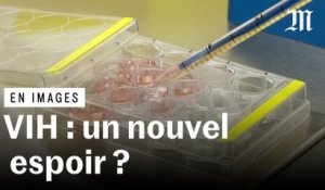 En images : la recherche encouragée par la guérison d’un patient atteint du VIH