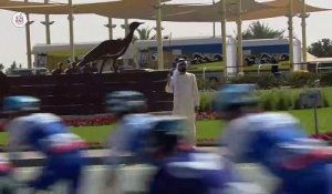 UAE Tour 2023 Stage 4 Highlights