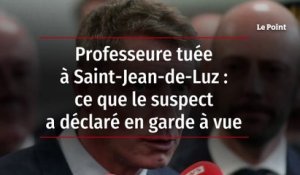 Professeure tuée à Saint-Jean-de-Luz : ce que le suspect a déclaré en garde à vue