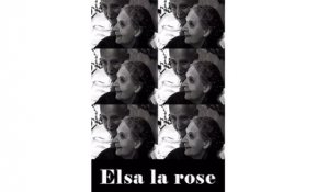 Elsa la Rose (1966) Streaming BluRay-Light (VF)