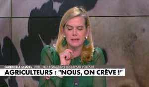 Gabrielle Cluzel : «Ils ont peut-être peur d’intervenir parce qu’ils craignent de se faire taper sur la tête par Emmanuel Macron»