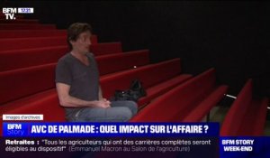 Détention provisoire: quel impact aura l'AVC de Pierre Palmade sur la décision des magistrats de la cour d'appel de Paris, ce lundi?