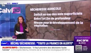 Sécheresse: la France métropolitaine n'a pas connu de véritables pluies depuis 32 jours consécutifs