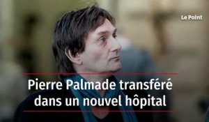 Pierre Palmade transféré dans un nouvel hôpital