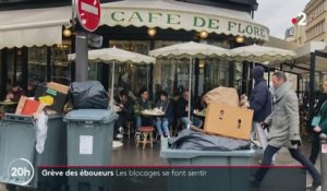 Conséquence visible de la mobilisation contre la réforme des retraites, les ordures commencent à s'amonceler dans plusieurs villes de France avec des risques pour l'hygiène