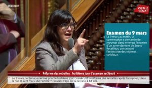 C. Apourceau-Poly dénonce le report de l'examen de l'amendement Retailleau sur les régimes spcéciaux