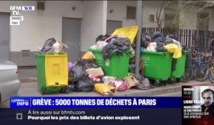 À Paris, la grève des éboueurs exaspère les riverains, qui redoutent un risque sanitaire
