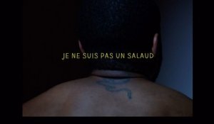 JE NE SUIS PAS UN SALAUD 2014 (French) Streaming XviD AC3