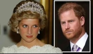 La princesse Diana "serait très mécontente" des att@ques blessantes du prince Harry contre William