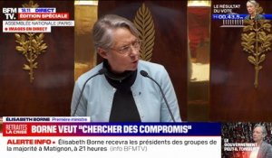 Elisabeth Borne: "La démocratie parlementaire aura le dernier mot"